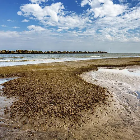 Сasa de vacaciones Magnifique Maison Vue Port Dunkirk